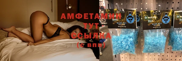 шишки Козловка