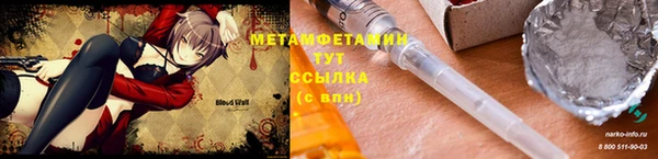 шишки Козловка