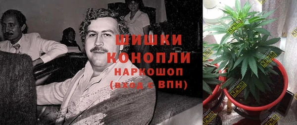 spice Кодинск