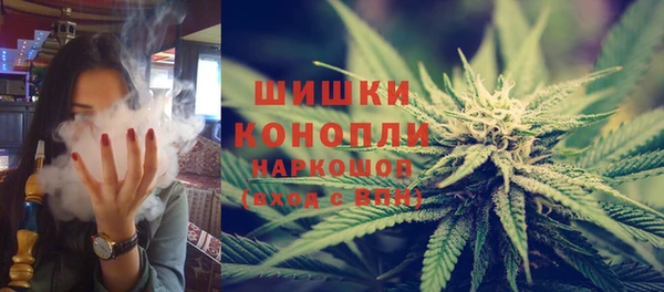 spice Кодинск