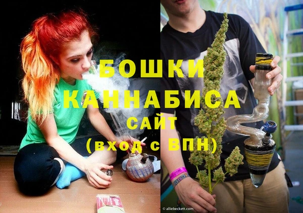 шишки Козловка