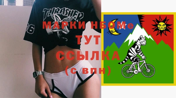 шишки Козловка