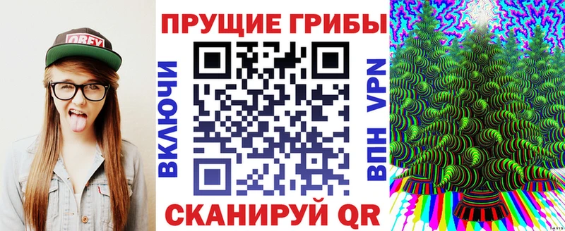 Псилоцибиновые грибы мухоморы  Купить где  Гурьевск 